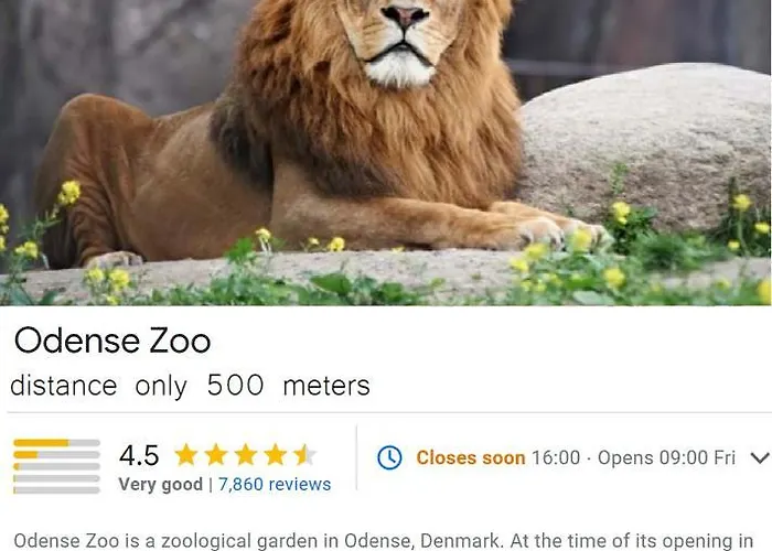 فندق مبيت وإفطار House